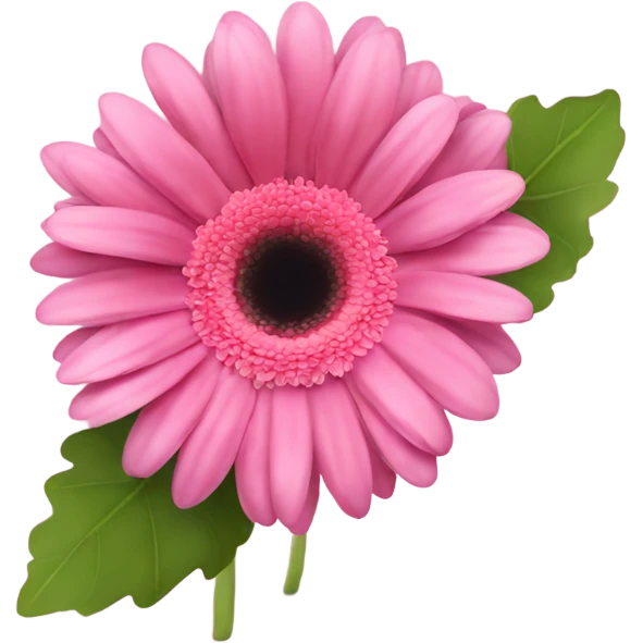 Pink Gerberas  emoji