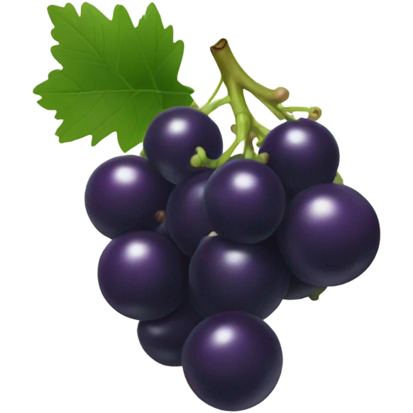 blackcurrant emoji