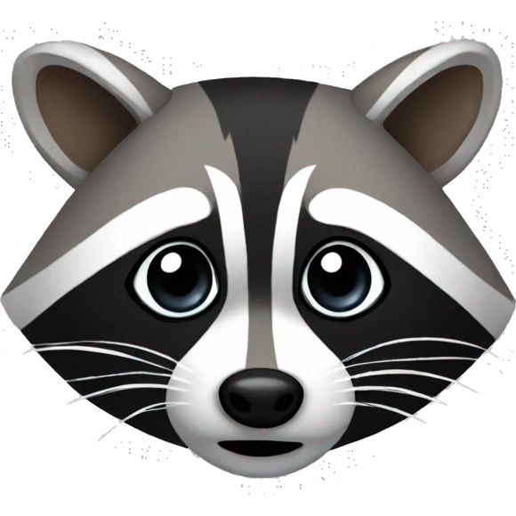 Raccoon  emoji