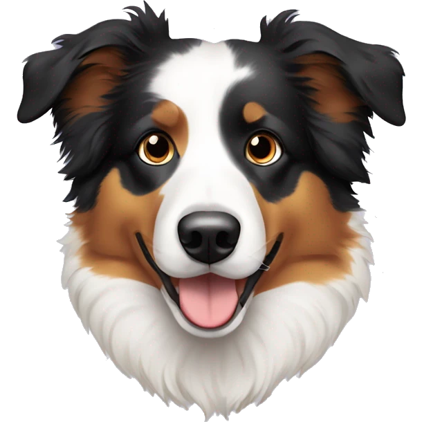 Australian shepherd with black eyes and breaded with border collie  emoji
