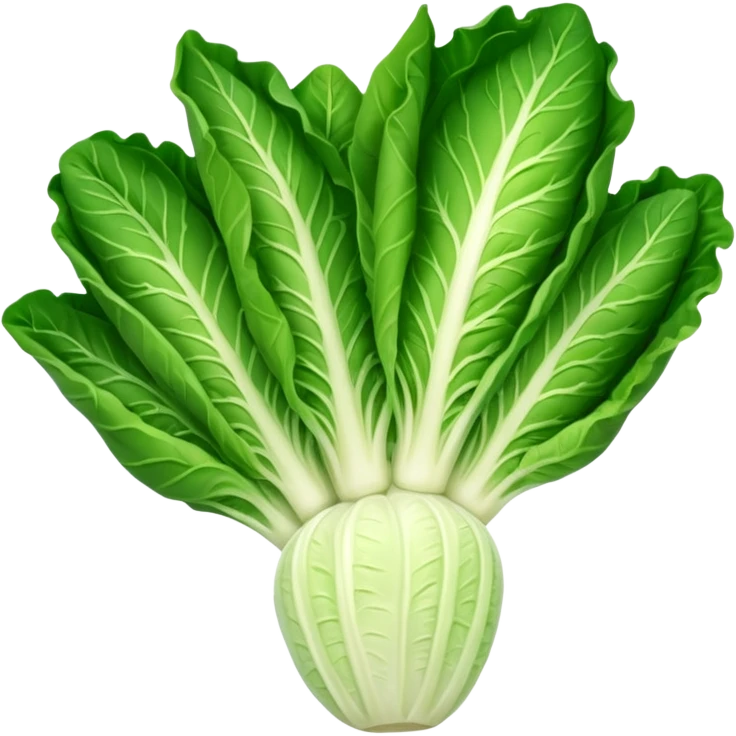 Romaine salad with no tomatoes emoji