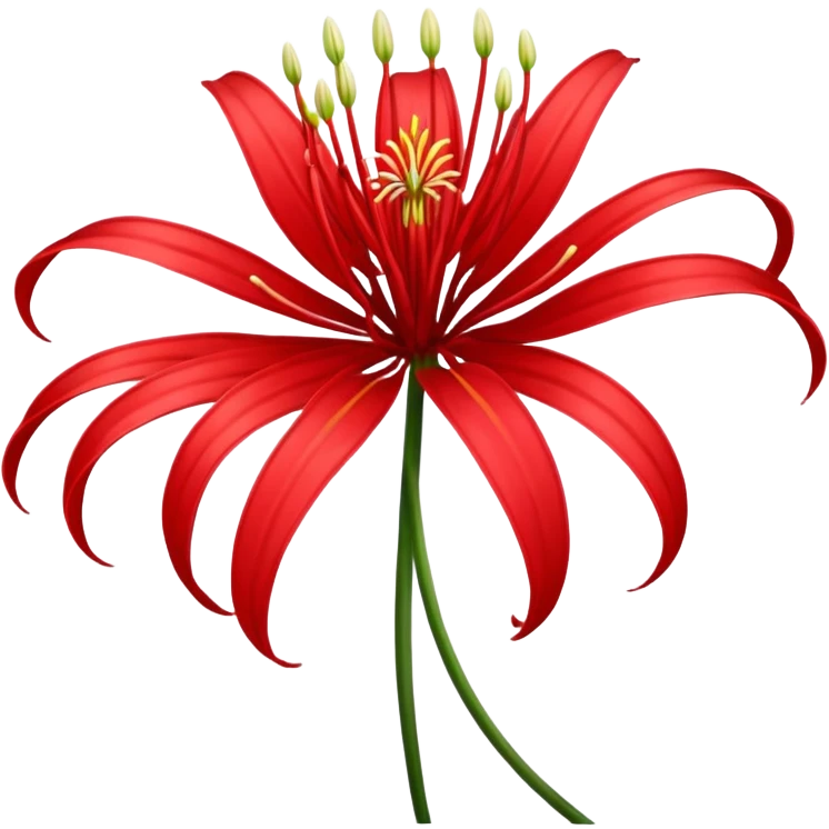spider lily emoji