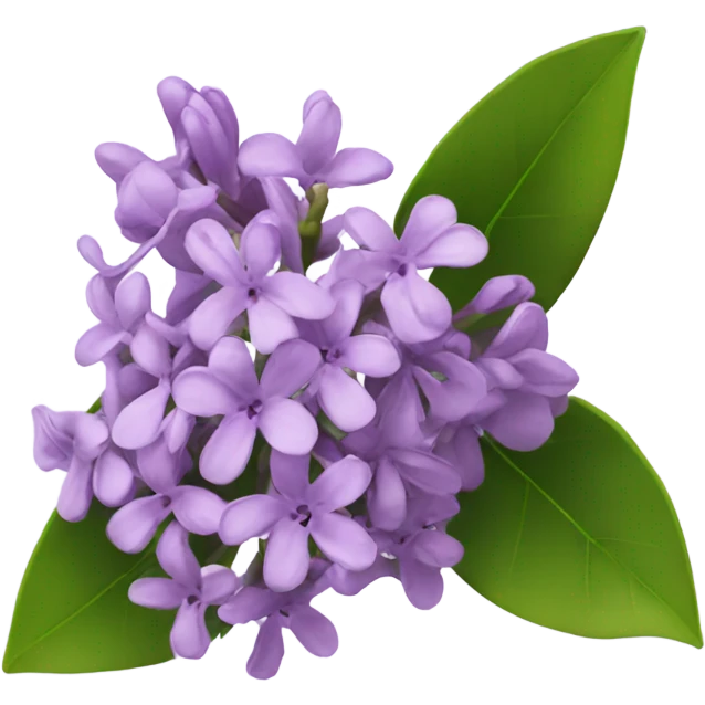 a flower of lilac emoji
