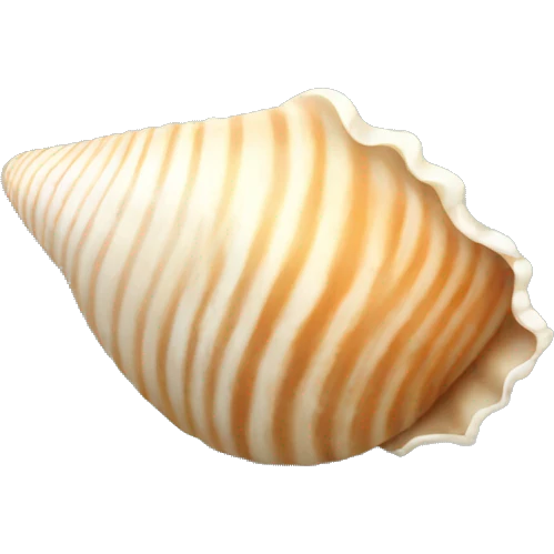 seashell emoji