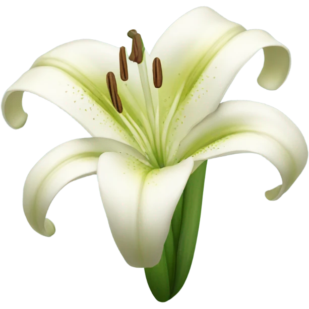 lily flower emoji