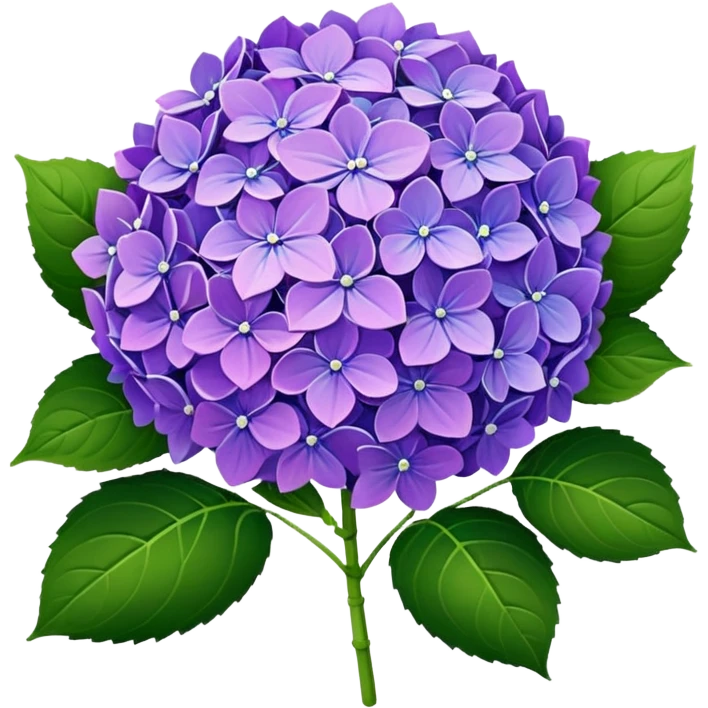 hydrangea emoji