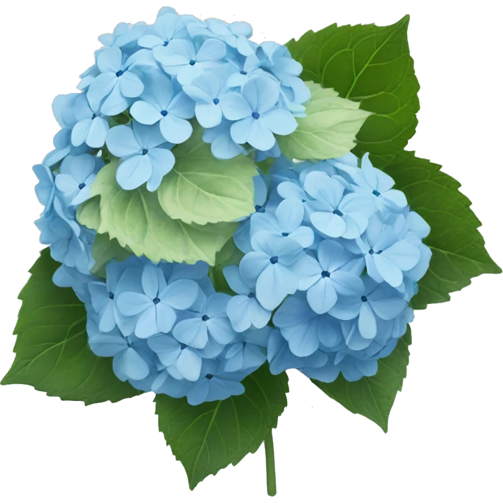 Light blue hydrangea ￼ emoji