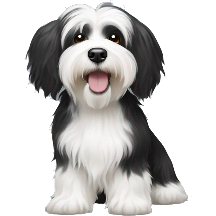 Black and white havanese  emoji