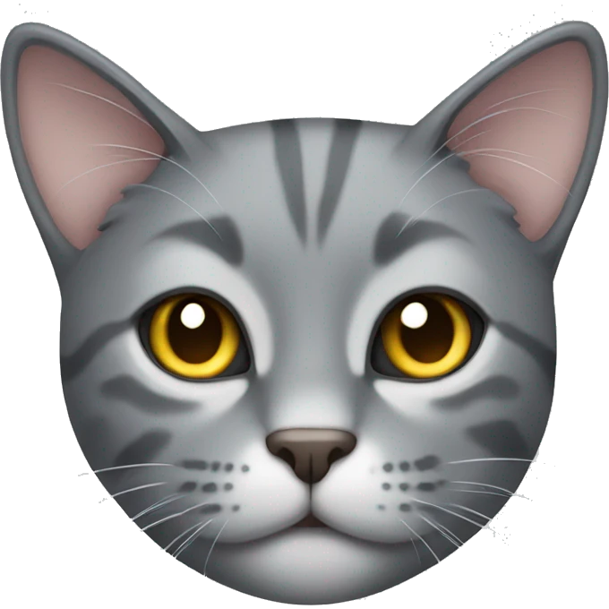 gray cat emoji