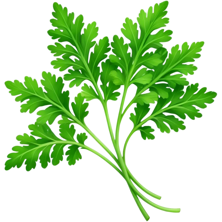 Cinematic Realistic Parsley Emoji, Fresh and vibrant, with bright green, frilly leaves that seem to shimmer with vitality. The plant exudes a sense of healthy growth and aromatic zest, inviting both beauty and flavor into any dish. Soft glowing outline, capturing the essence of freshness, health, and culinary delight in a sprig of parsley! emoji