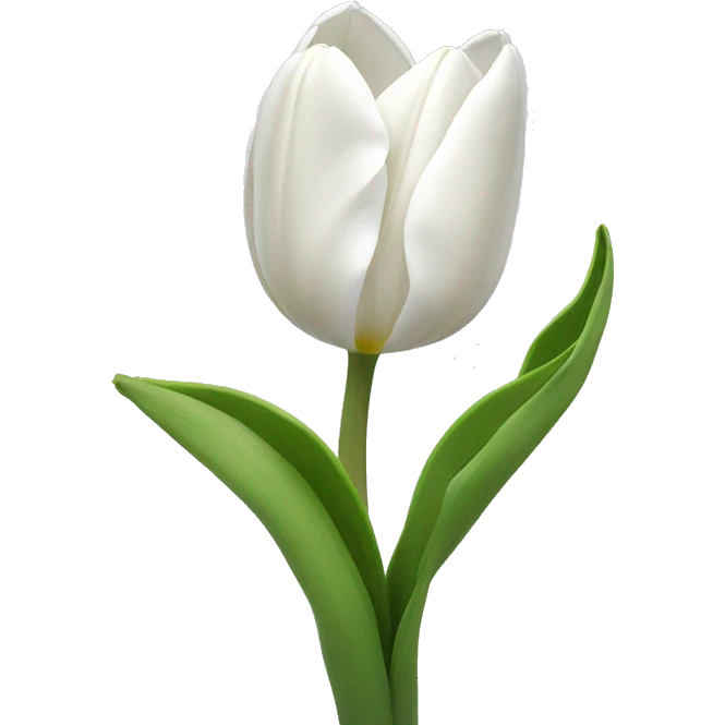 White tulips  emoji