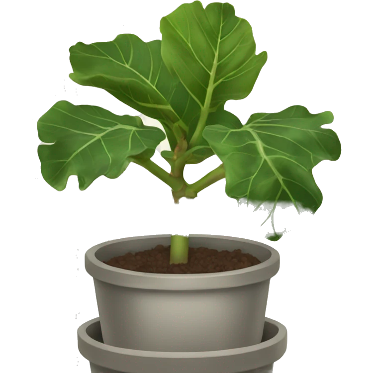 fiddle leaf fig emoji