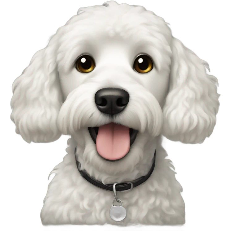 White dog and black poodle emoji