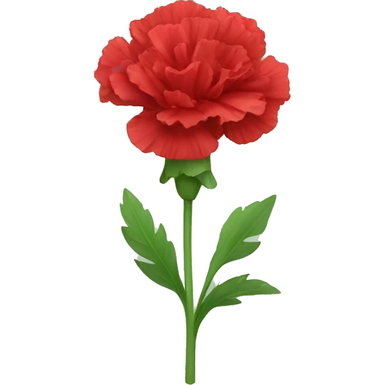 red Carnation flower emoji