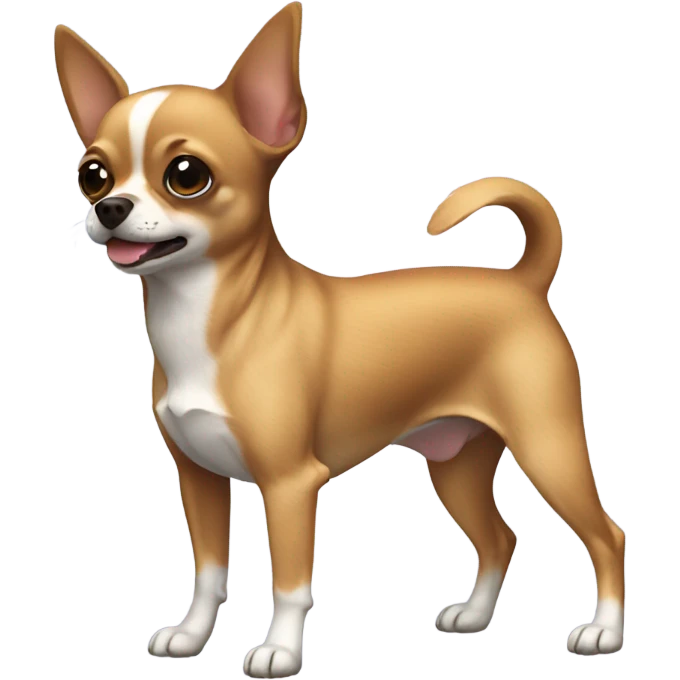 Chihuahua PET brown  emoji