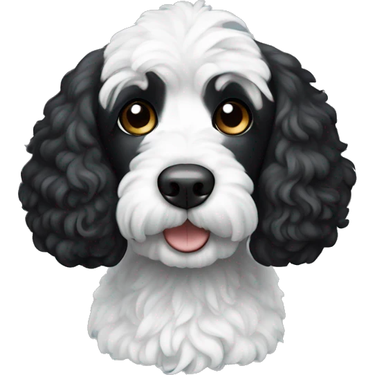 Dog black cockapoo with white chest and one white ear emoji