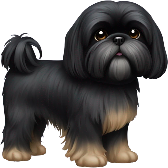 Black shitzu black fur emoji