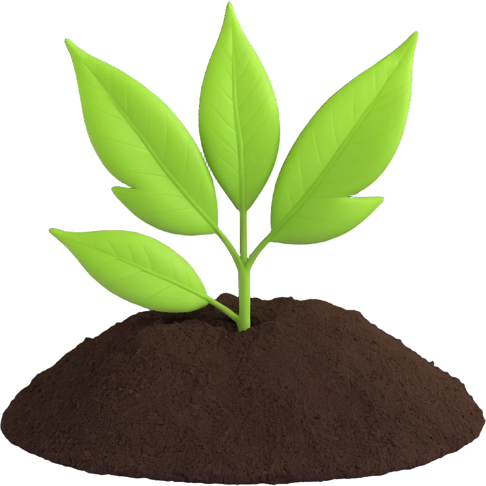 A fresh green leaf placed on soil or grass, clearly above the ground. emoji