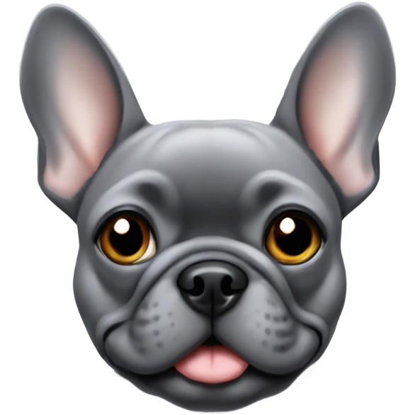 grey frenchie with grey eyes emoji