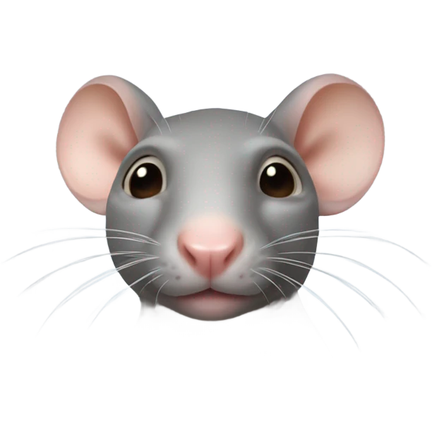 Bald rat emoji