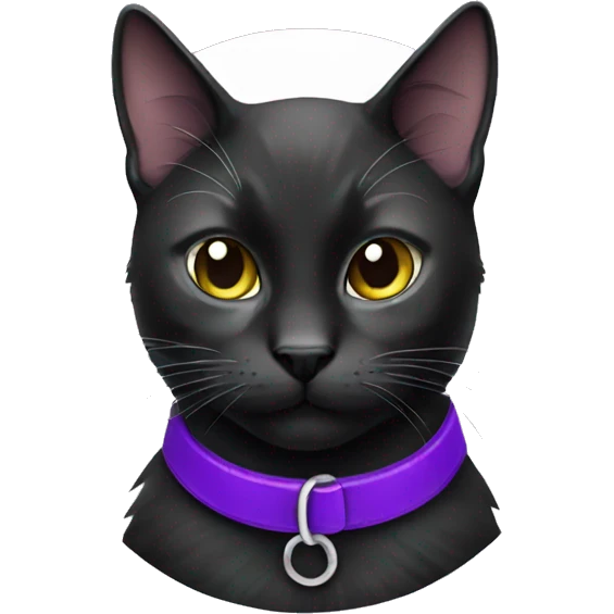 Black cat purple collar  emoji