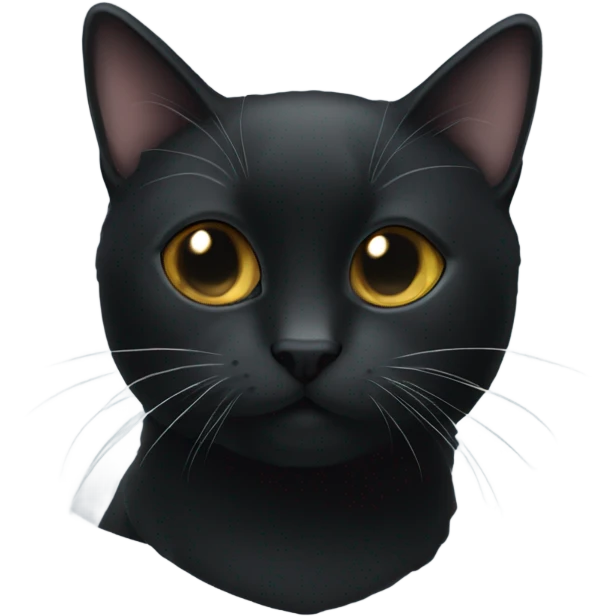 Balckcat with glassy emoji