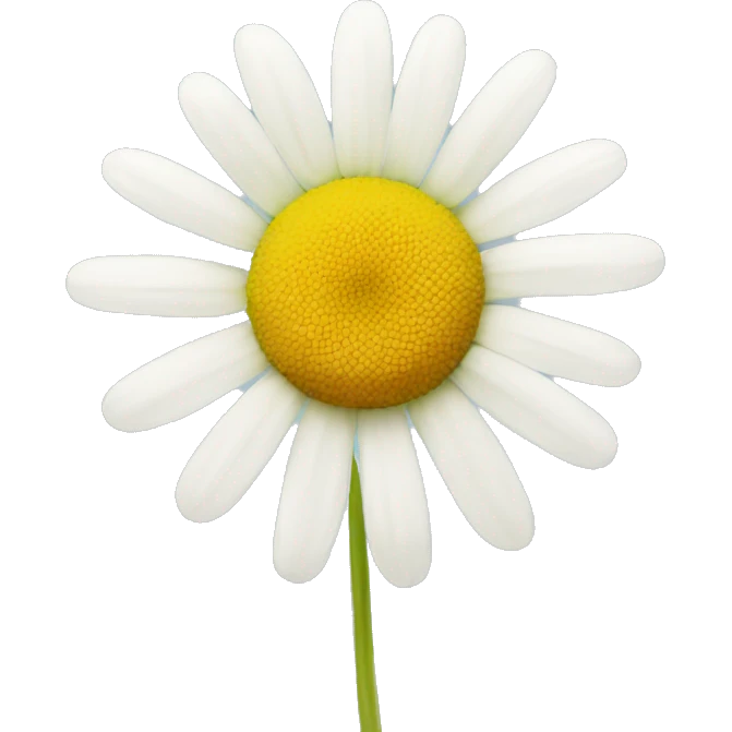 CHAMOMILE emoji