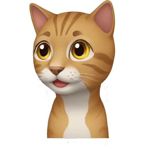 transition video with cat emoji