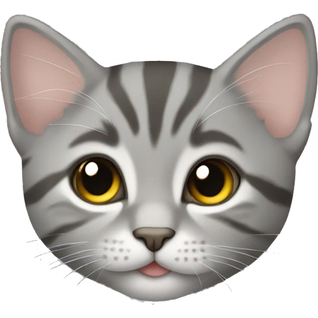 Gray tabby kitten laying emoji