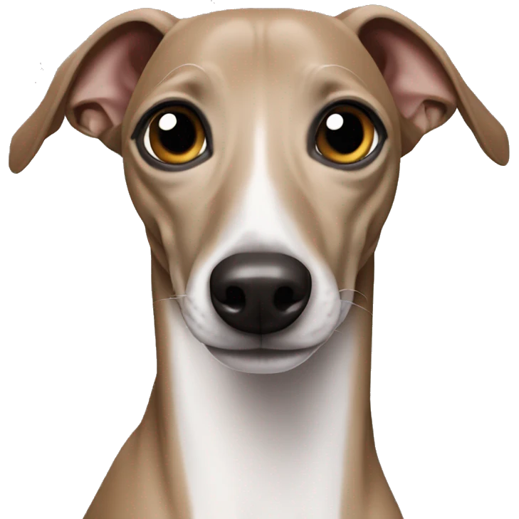 Italian greyhound emoji