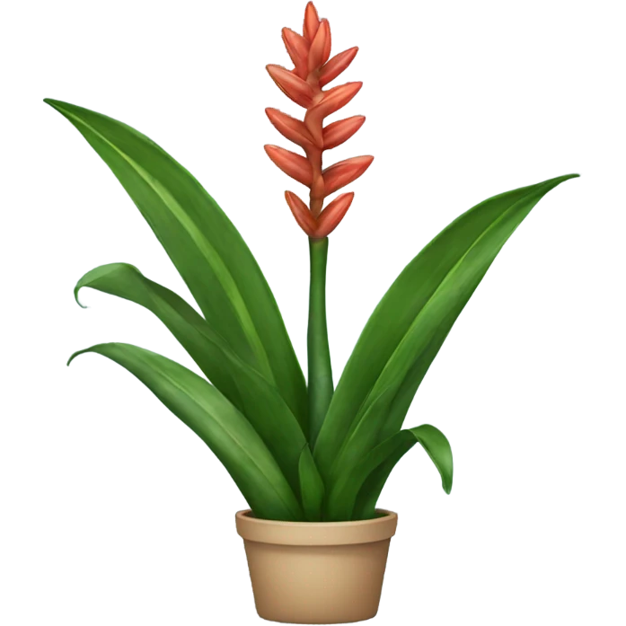 Snake plant  emoji
