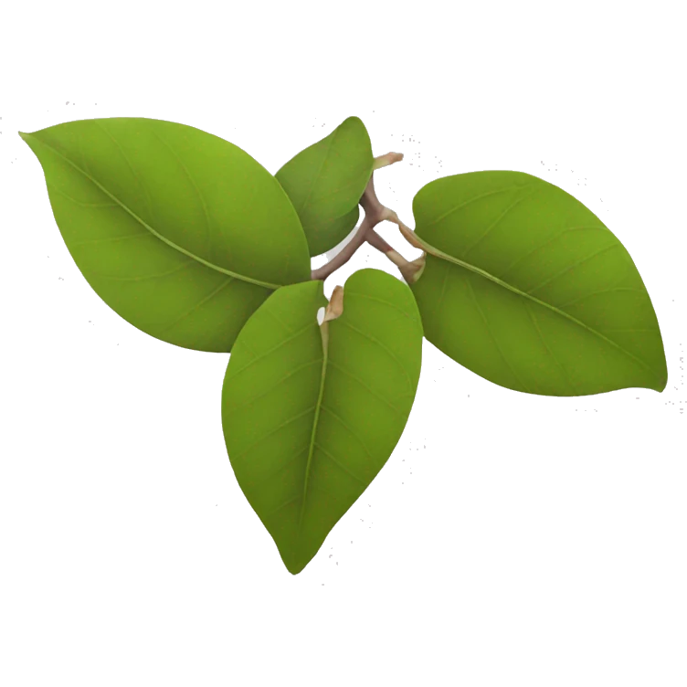 Magnolia leaves  emoji