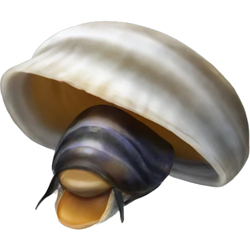 mussel  emoji