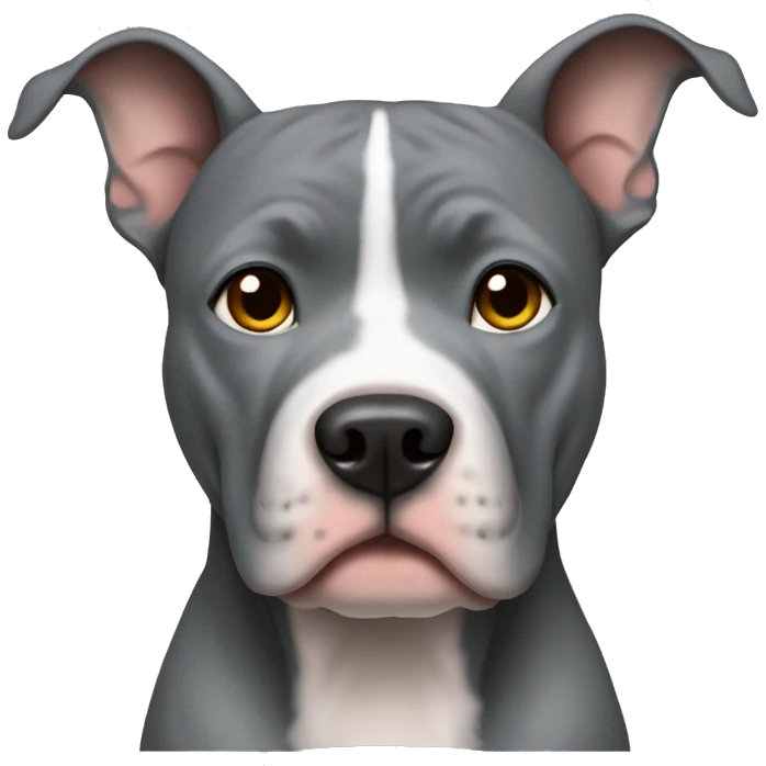 Grey pitbull pointed ears  emoji