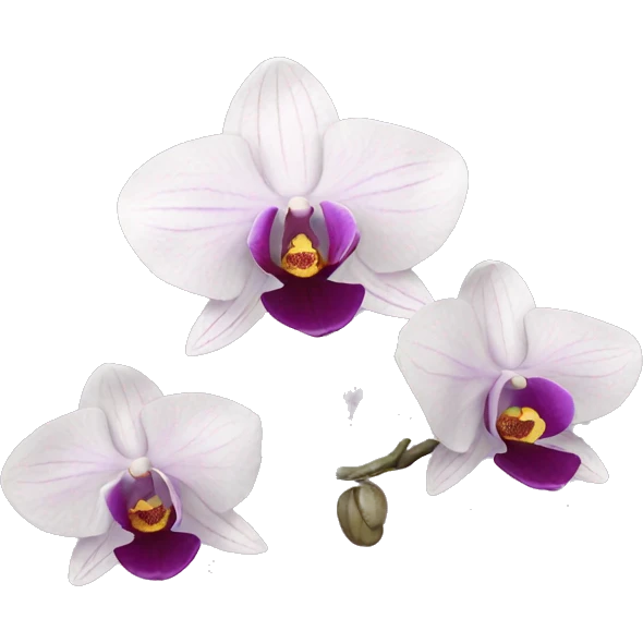 orchid emoji
