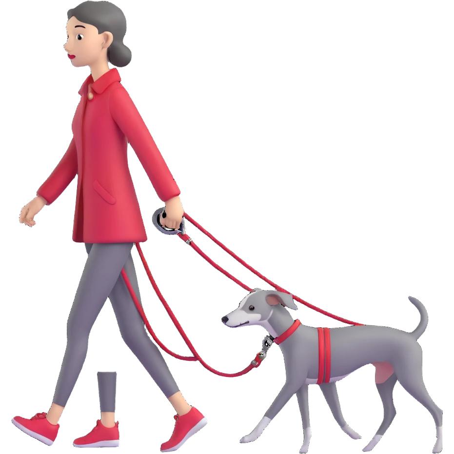 Beautiful Asian girl walking a completely solid grey Italian greyhound with a grey nose on a simple red leash, no white markings anywhere, pure grey dog emoji