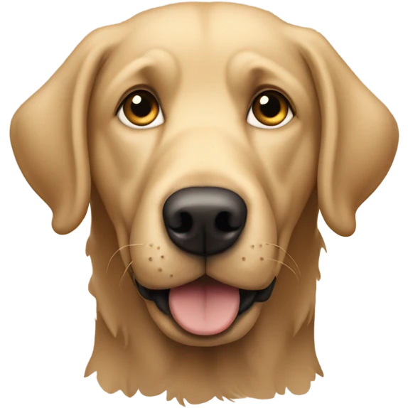 Shaggy tan Labrador boy  emoji