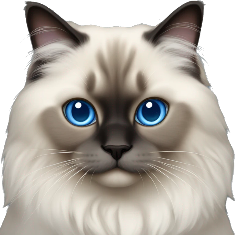 himalayan ragdoll cat with blue eyes , full dark face and feet emoji