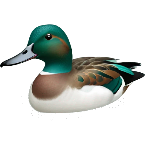 Green wing teal emoji