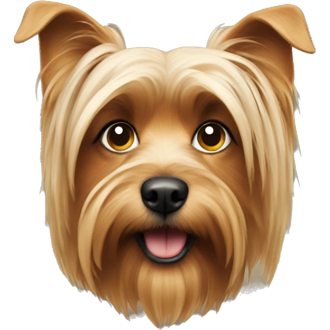 Yorshire dog  emoji