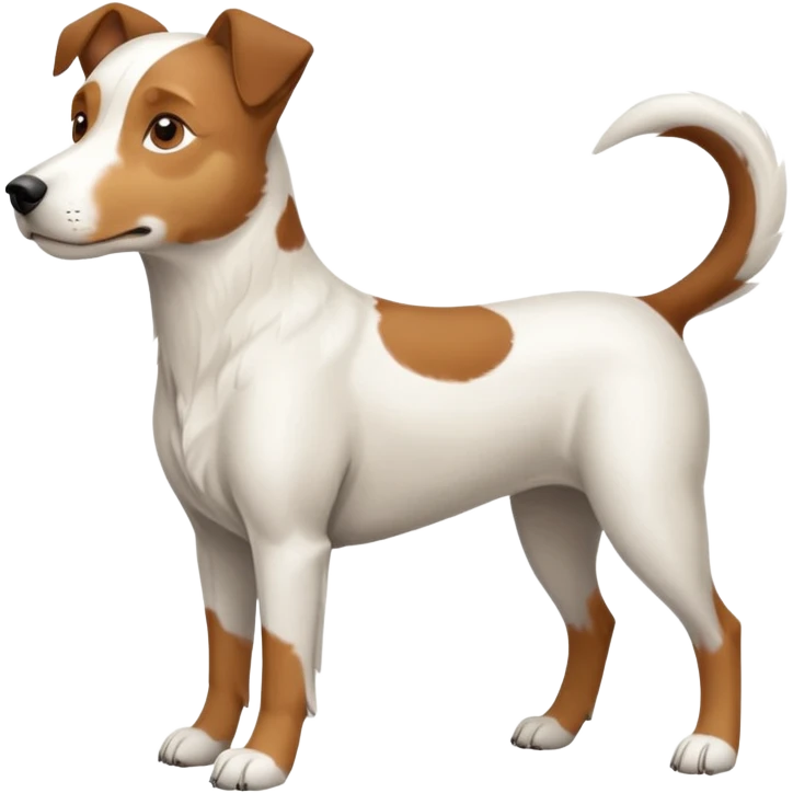 a full body large white parson russell looking dog the size of a kelpie with light brown flapped down ears and a light brown patch on one eye and a large snout emoji