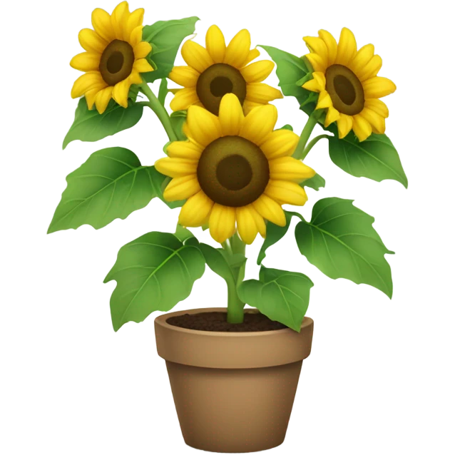 Sunflowers plant  emoji