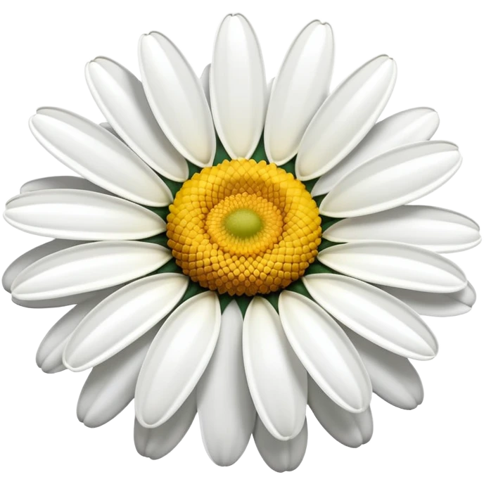 vibrant daisy flower with yellow center emoji