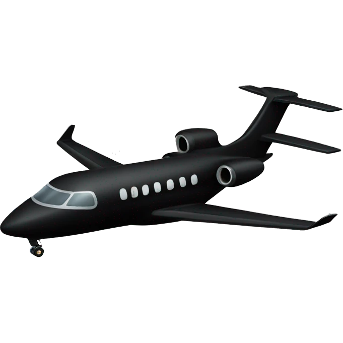 All Black private plane emoji