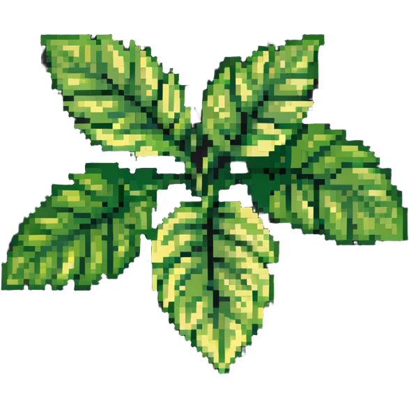 Fresh basil herb with green leaves emoji