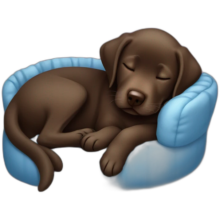 Chocolate labrador puppie sleeping in a blue bed emoji