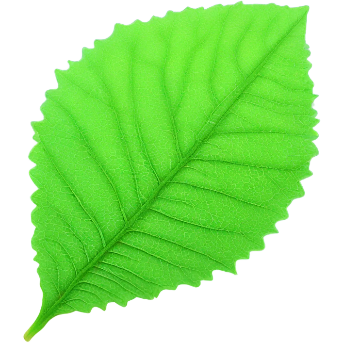 Kratom leaf emoji