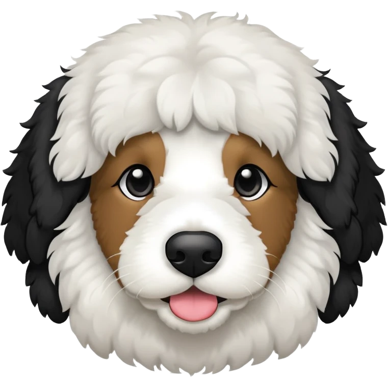 Bernedoodle black with white eyebrows and snout and chest and socks  emoji