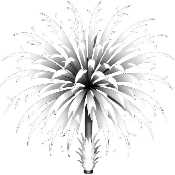 black and white firework emoji emoji