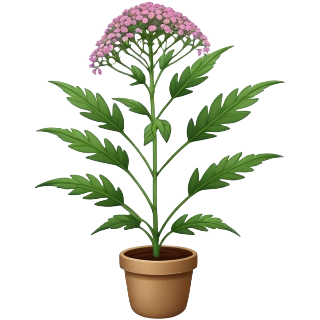 Valerian plant  emoji